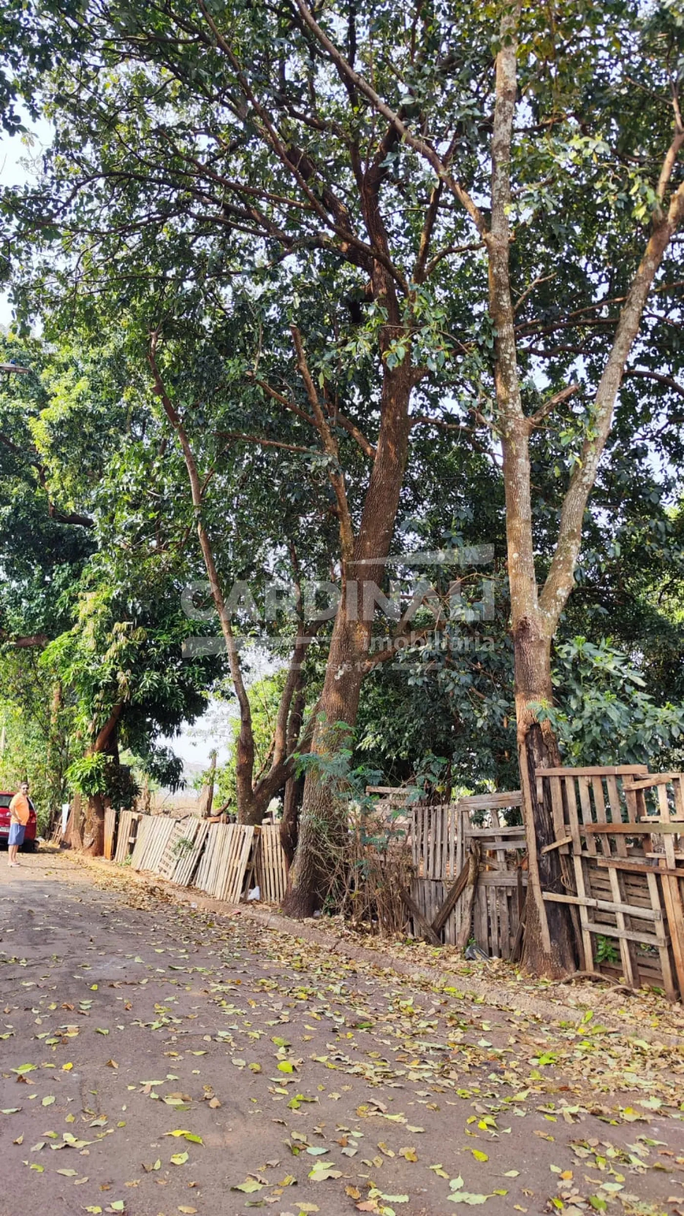 Terreno / Padrão em Araraquara , Comprar por R$55.000,00