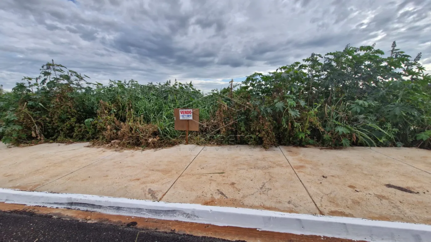 Comprar Terreno / Padr&atilde;o em Bauru R$ 550.000,00 - Foto 4