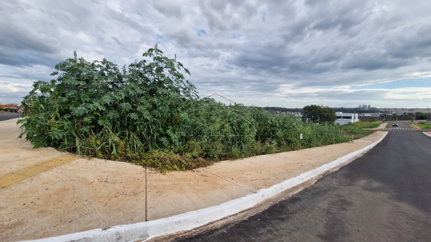 Comprar Terreno / Padr&atilde;o em Bauru R$ 550.000,00 - Foto 5