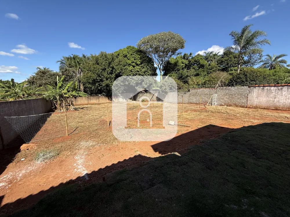 Alugar Rural / Ch&aacute;cara em Uberl&acirc;ndia R$ 3.500,00 - Foto 10
