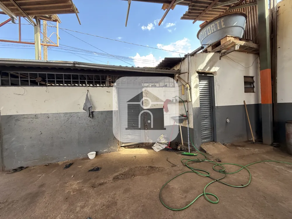 Alugar Comercial / Galp&atilde;o em Uberl&acirc;ndia R$ 8.000,00 - Foto 1