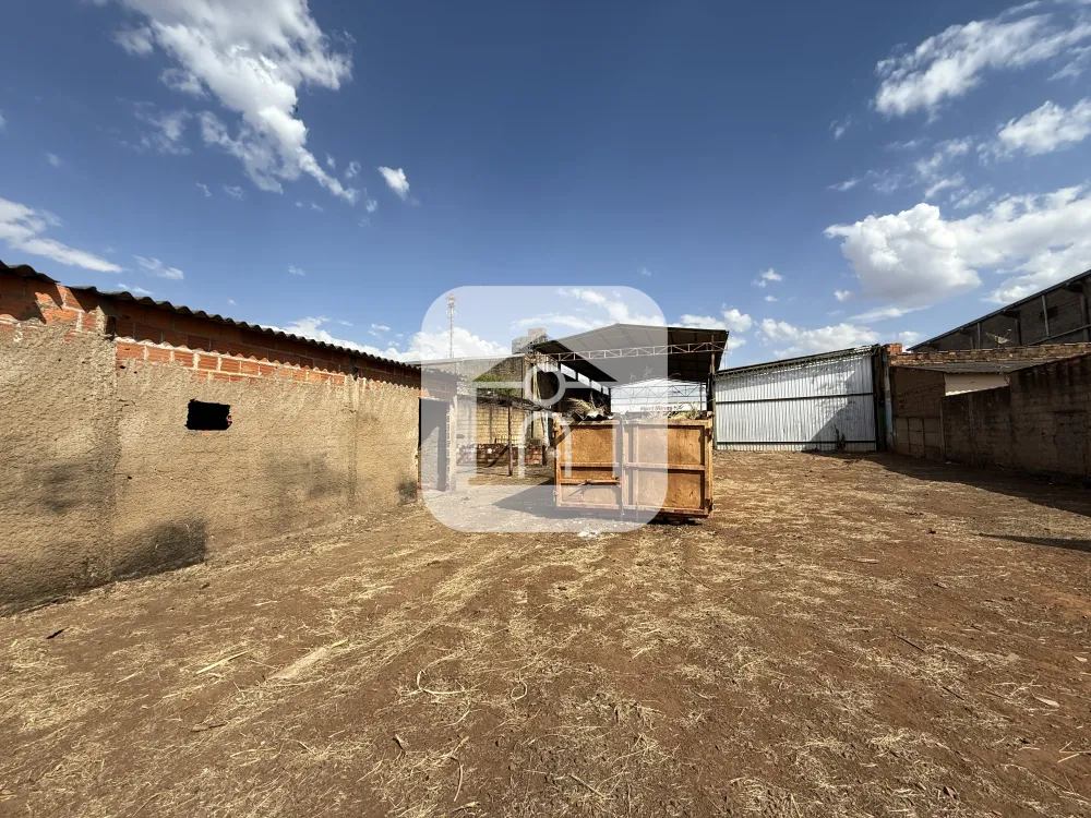 Alugar Comercial / Galp&atilde;o em Uberl&acirc;ndia R$ 8.000,00 - Foto 9