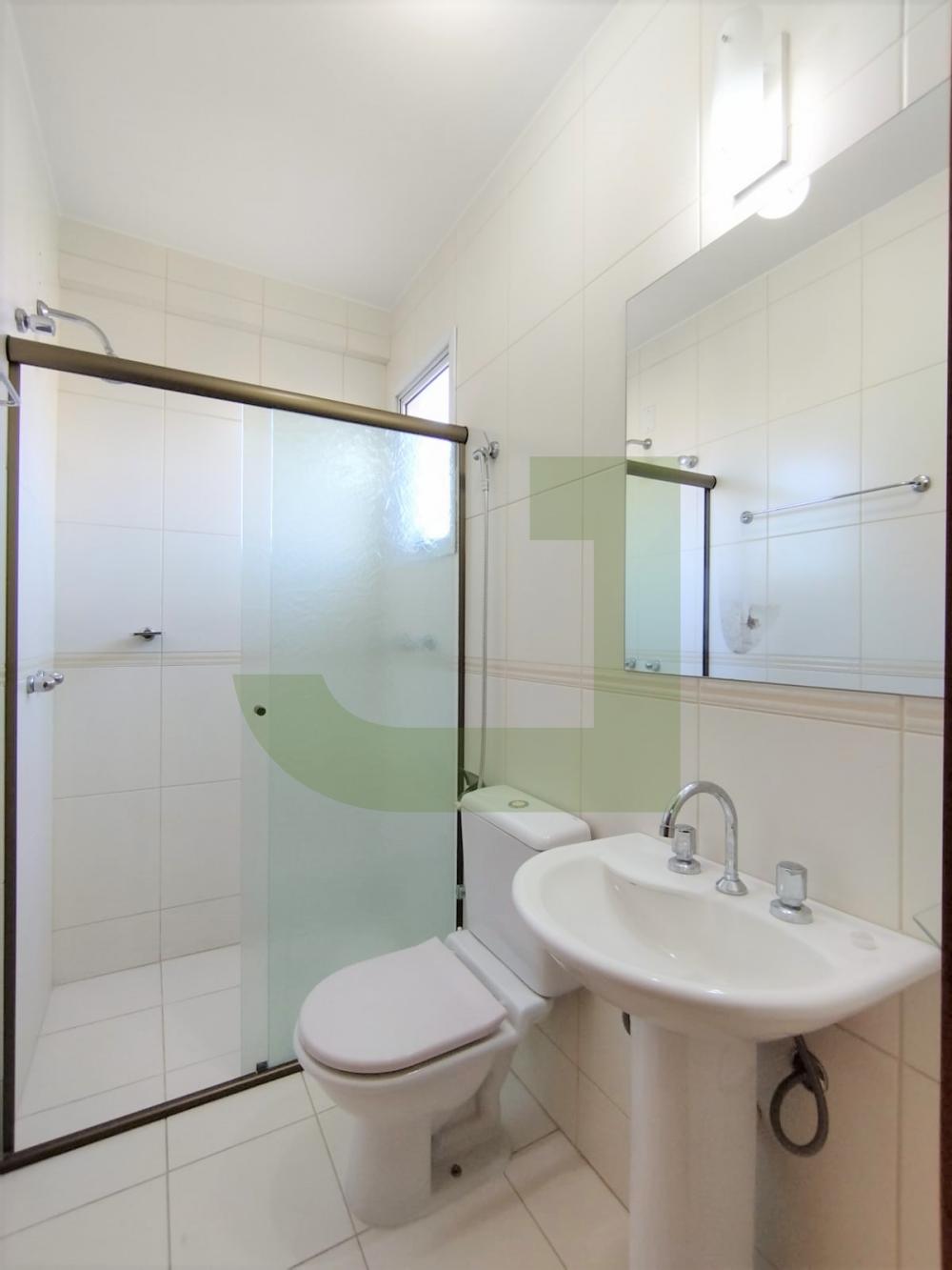 Alugar Apartamento / Cobertura em S&atilde;o Leopoldo R$ 4.200,00 - Foto 13