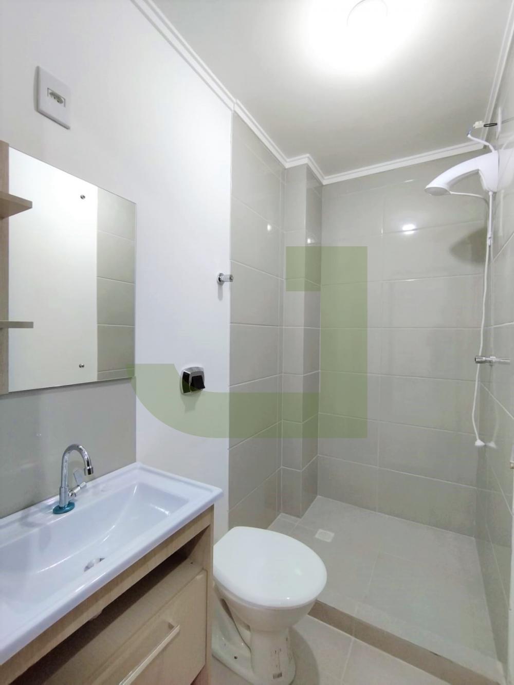 Alugar Apartamento / JK  Studio em S&atilde;o Leopoldo R$ 800,00 - Foto 3