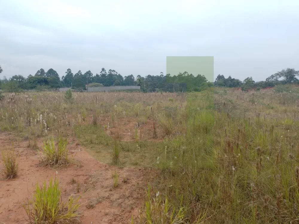 Comprar Terreno / &Aacute;rea de Terras em S&atilde;o Leopoldo R$ 25.000.000,00 - Foto 9