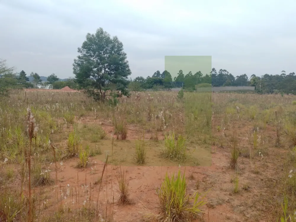 Comprar Terreno / &Aacute;rea de Terras em S&atilde;o Leopoldo R$ 25.000.000,00 - Foto 17