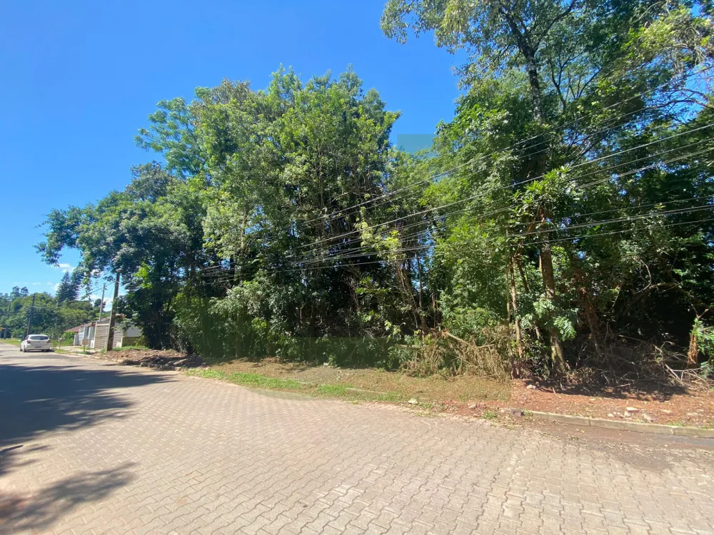 Comprar Terreno / Padr&atilde;o em S&atilde;o Leopoldo R$ 140.000,00 - Foto 2