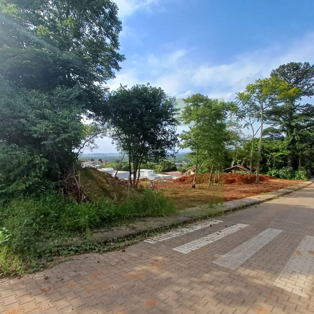 Comprar Terreno / Padr&atilde;o em S&atilde;o Leopoldo R$ 245.000,00 - Foto 2