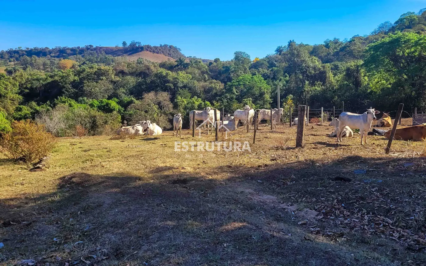 Comprar Rural / S&iacute;tio em Corumbata&iacute; R$ 4.255.000,00 - Foto 10