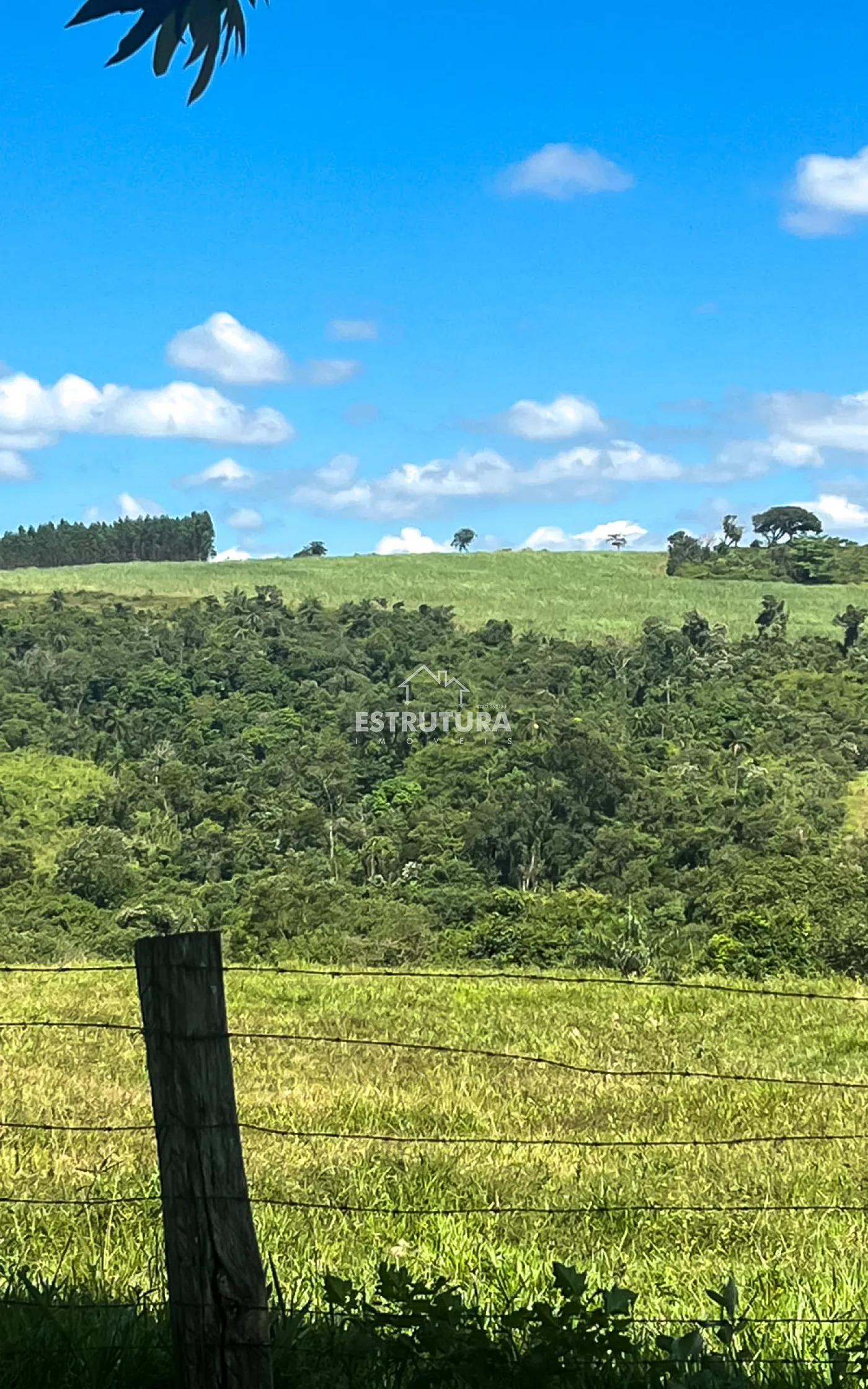 Comprar Rural / S&iacute;tio em Corumbata&iacute; R$ 410.000,00 - Foto 2