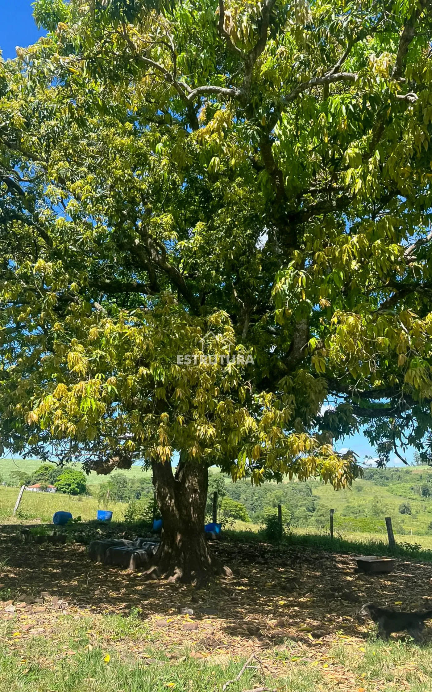 Comprar Rural / S&iacute;tio em Corumbata&iacute; R$ 410.000,00 - Foto 4