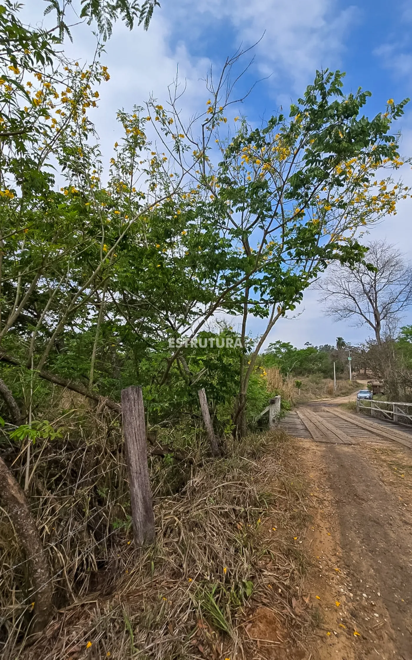 Comprar Terreno / &Aacute;rea em Corumbata&iacute; R$ 350.000,00 - Foto 10