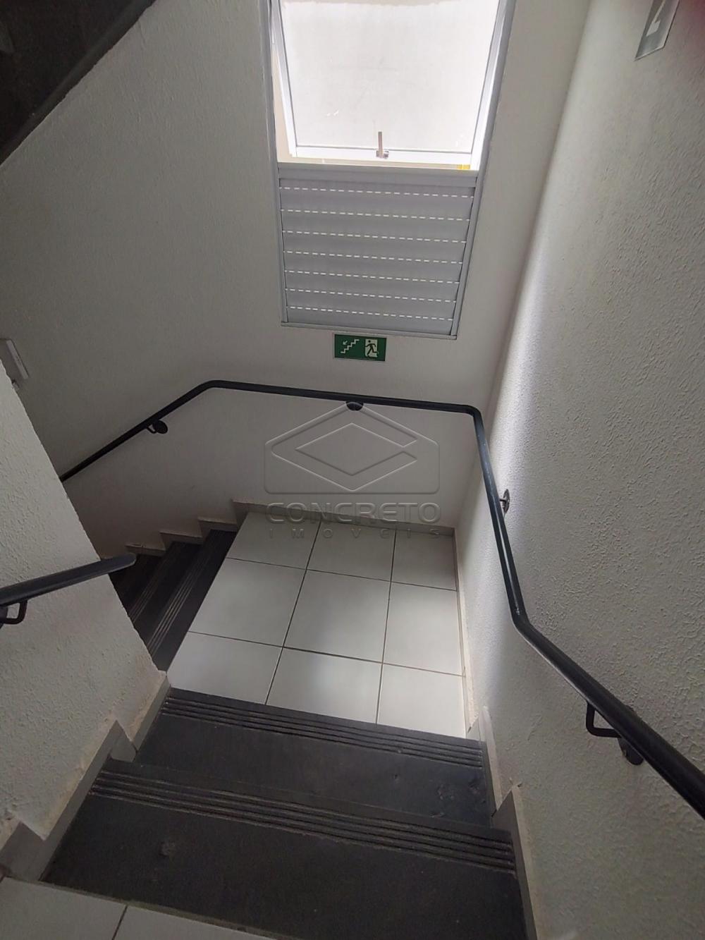 Alugar Apartamento / Padr&atilde;o em Botucatu R$ 1.170,00 - Foto 8