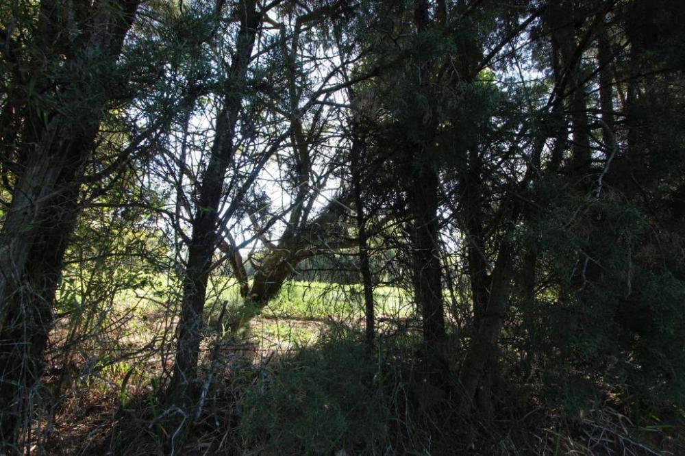 Comprar Terreno / Condom&iacute;nio em Taubat&eacute; R$ 2.200.000,00 - Foto 3