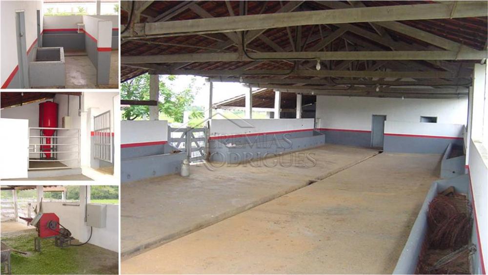 Comprar Rural / Fazenda em Cachoeira Paulista R$ 8.700.000,00 - Foto 29