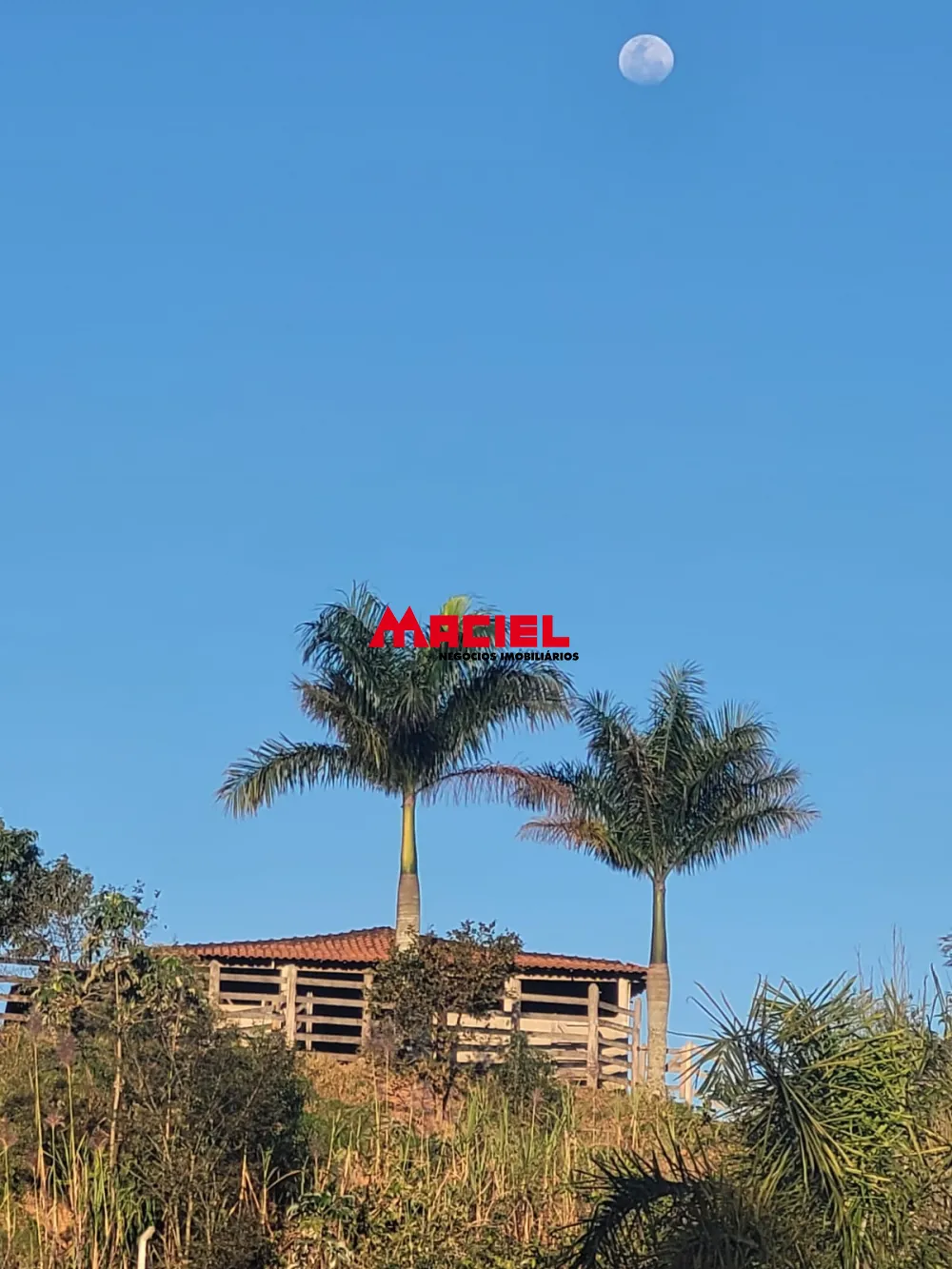 Comprar Rural / S&iacute;tio em S&atilde;o Jos&eacute; dos Campos R$ 4.000.000,00 - Foto 29