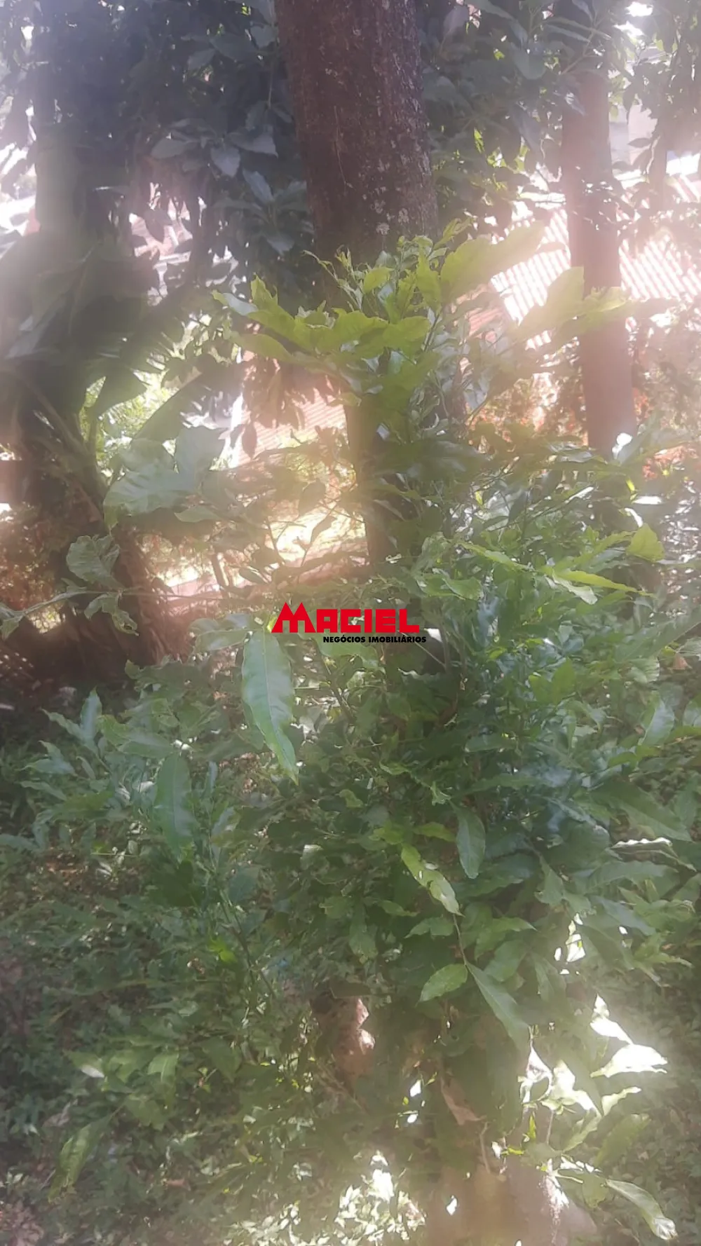 Comprar Casa / Padr&atilde;o em S&atilde;o Jos&eacute; dos Campos R$ 225.000,00 - Foto 9