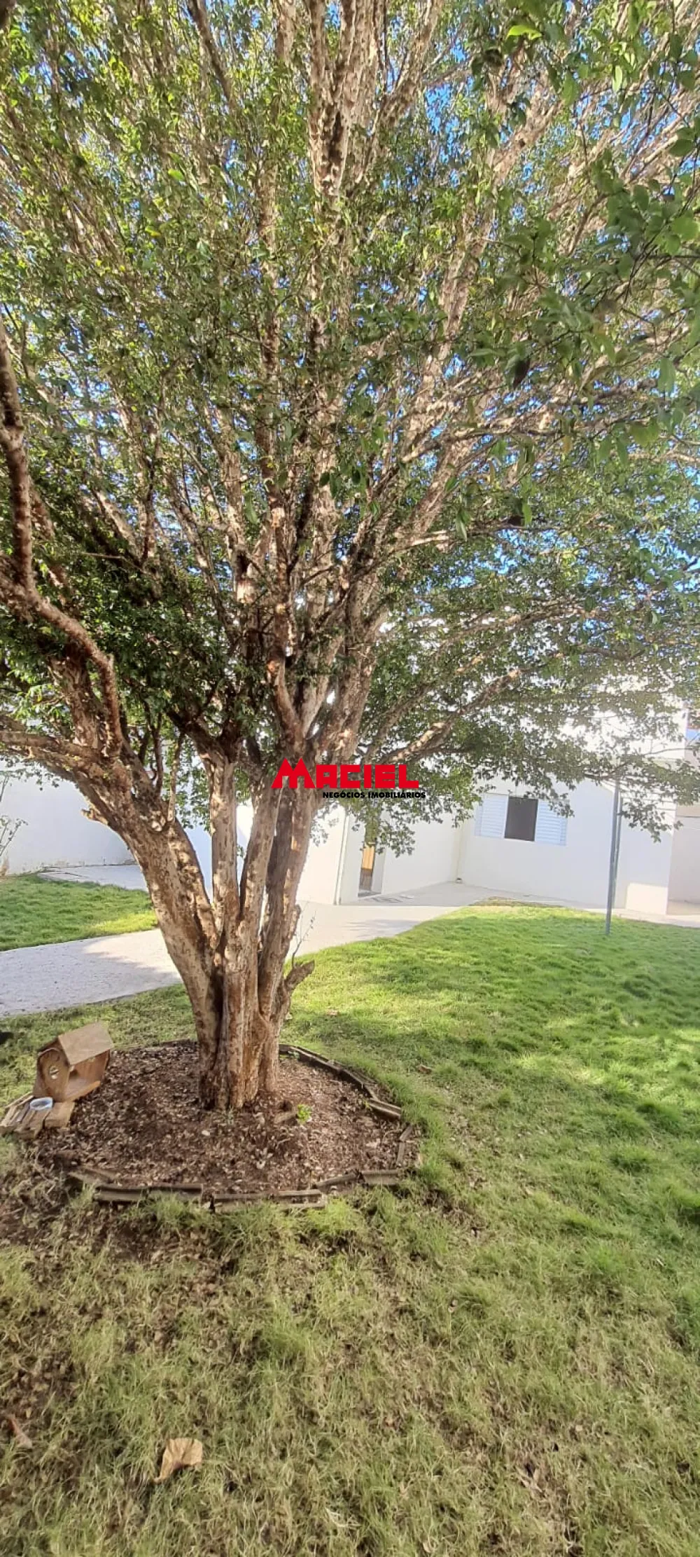 Alugar Casa / Ed&iacute;cula em S&atilde;o Jos&eacute; dos Campos R$ 4.000,00 - Foto 7