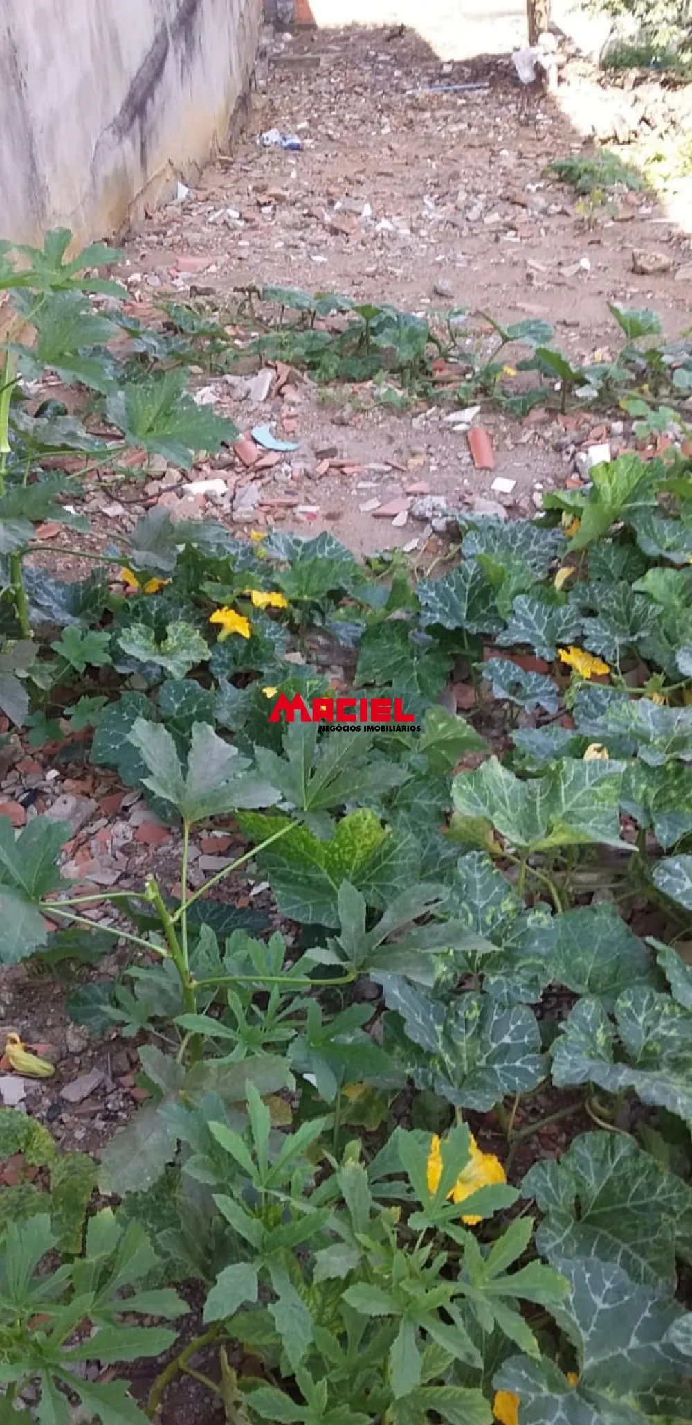 Comprar Terreno / Padr&atilde;o em S&atilde;o Jos&eacute; dos Campos R$ 90.000,00 - Foto 2