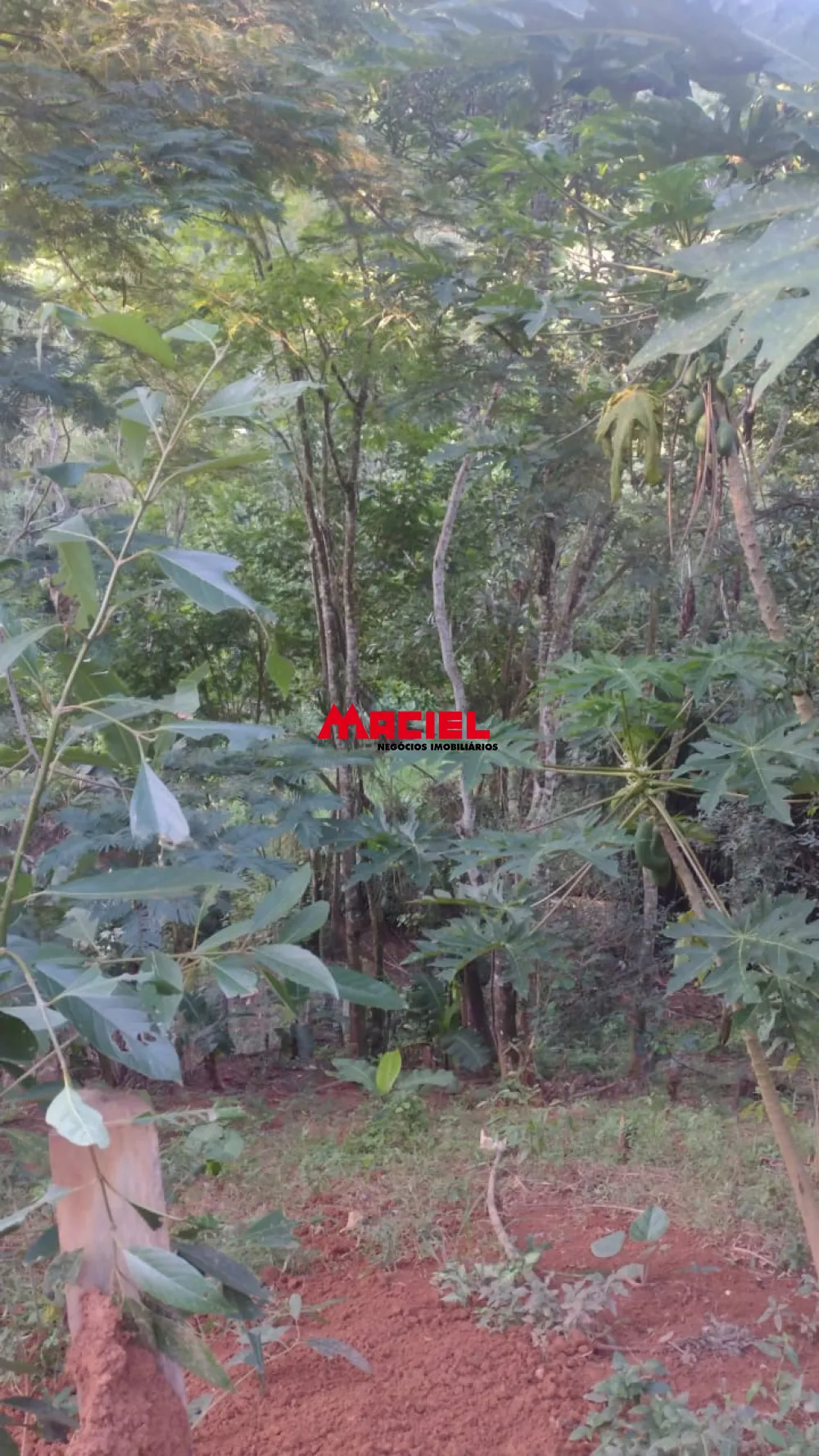 Comprar Casa / Condom&iacute;nio em S&atilde;o Jos&eacute; dos Campos R$ 870.000,00 - Foto 5