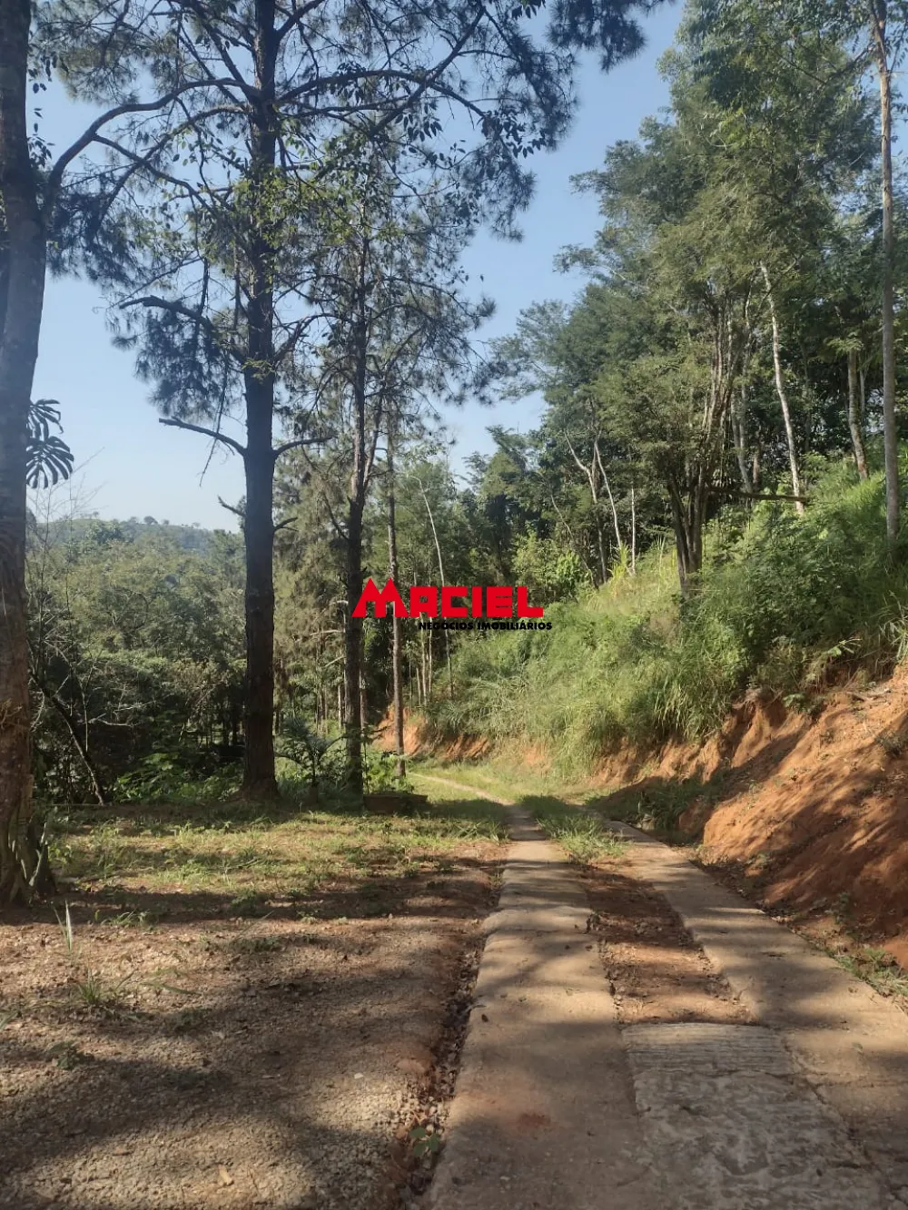 Comprar Casa / Condom&iacute;nio em S&atilde;o Jos&eacute; dos Campos R$ 870.000,00 - Foto 15