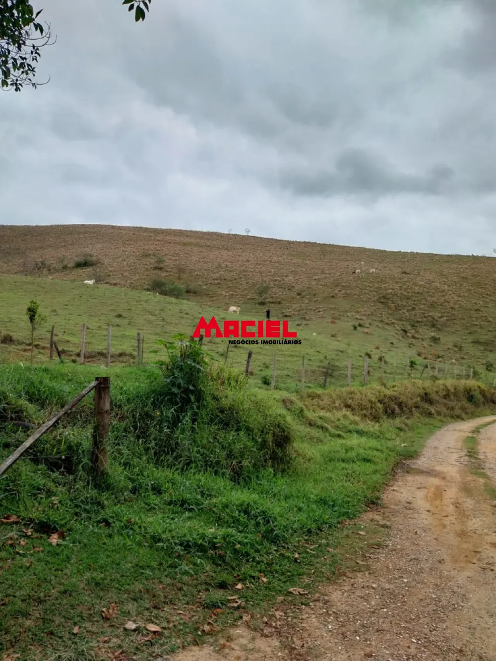 Comprar Terreno / &Aacute;rea em S&atilde;o Jos&eacute; dos Campos R$ 600.000,00 - Foto 5