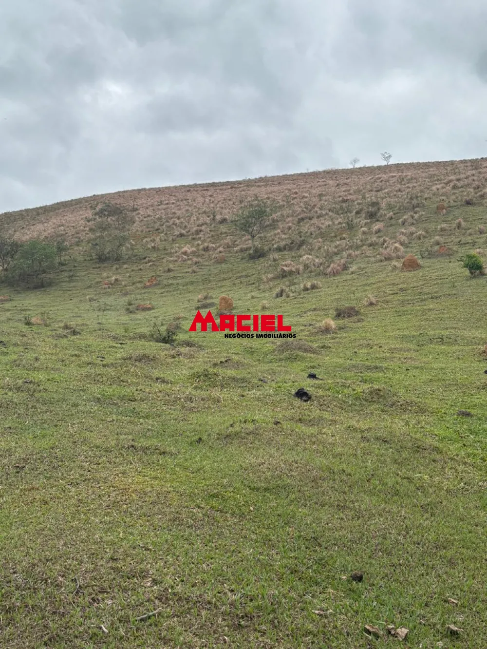 Comprar Terreno / &Aacute;rea em S&atilde;o Jos&eacute; dos Campos R$ 600.000,00 - Foto 8