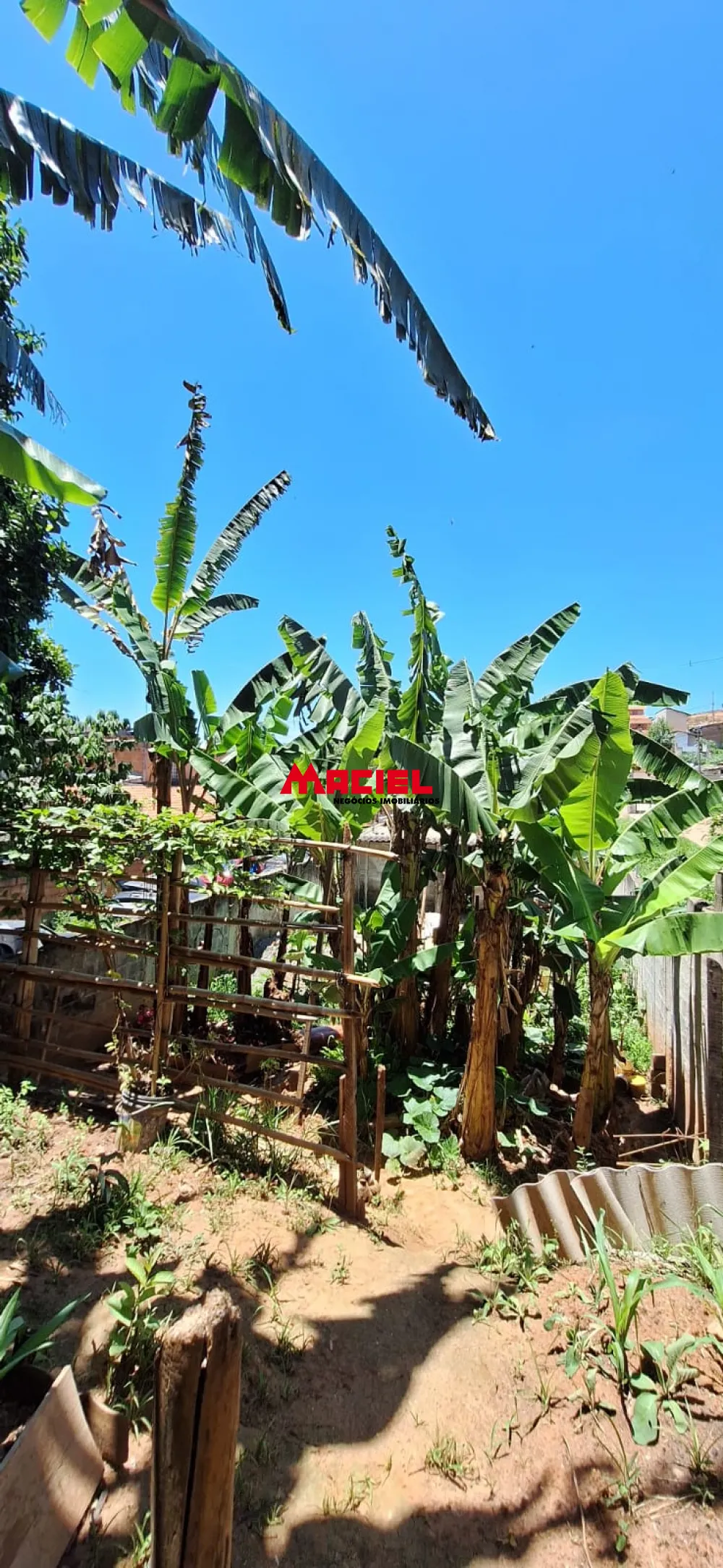 Comprar Casa / Padr&atilde;o em S&atilde;o Jos&eacute; dos Campos R$ 266.000,00 - Foto 20