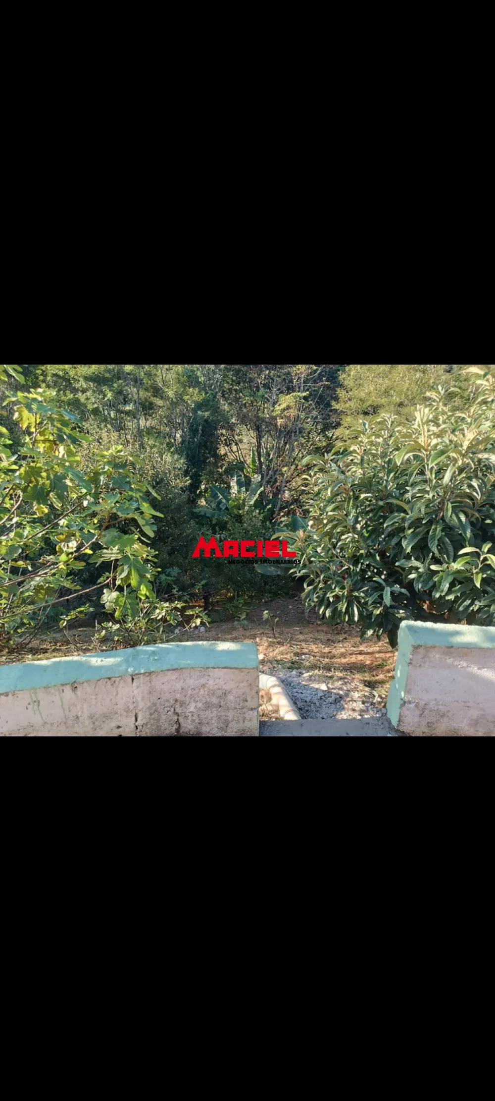 Comprar Rural / Fazenda, S&iacute;tio e Ch&aacute;cara em Santo Ant&ocirc;nio do Pinhal R$ 850.000,00 - Foto 12