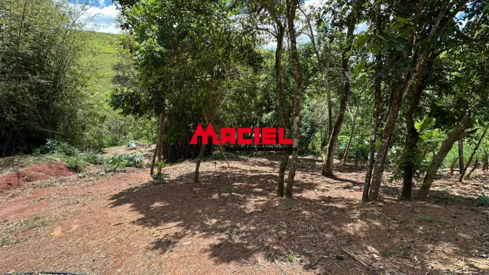 Comprar Rural / Ch&aacute;cara em S&atilde;o Jos&eacute; dos Campos R$ 550.000,00 - Foto 9