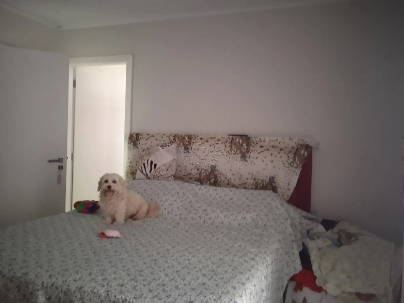 Comprar Casa / Sobrado em Castro R$ 1.200.000,00 - Foto 19