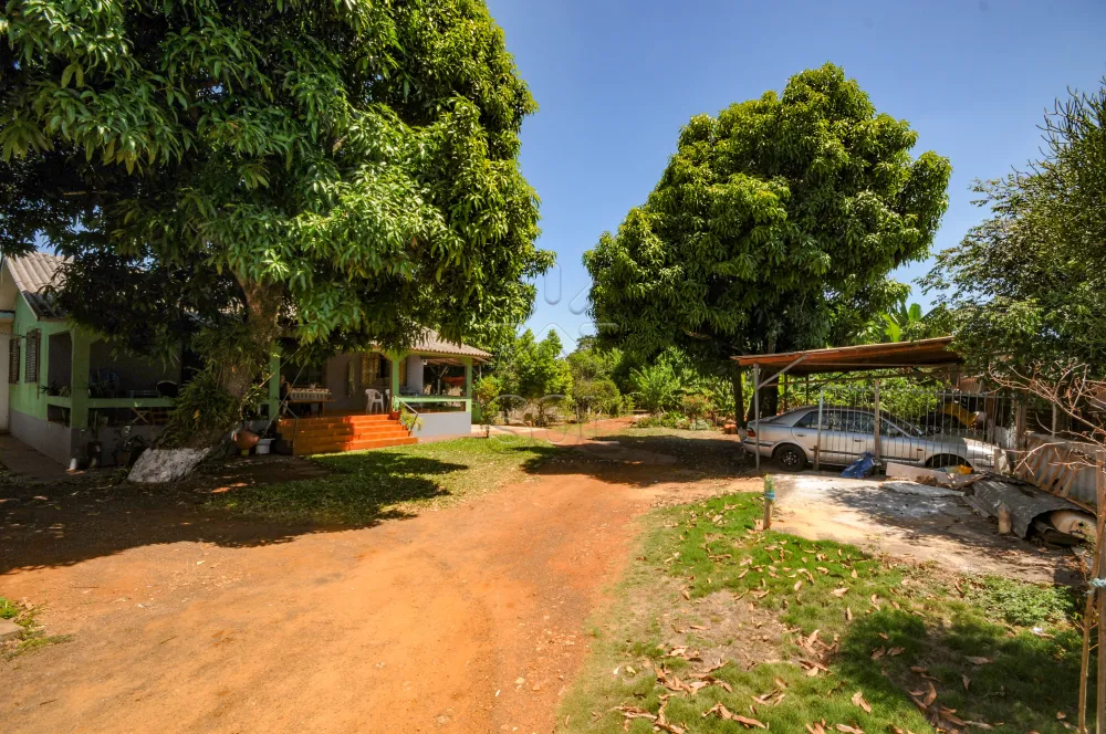 Imóvel comercial e residencial à venda, Jardim Buenos Aires - Foz do Iguaçu