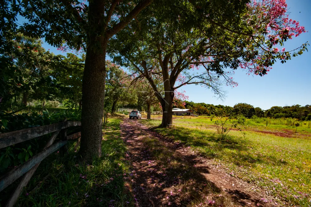 Chácara à venda, Porto Dourado - Foz do Iguaçu/PR