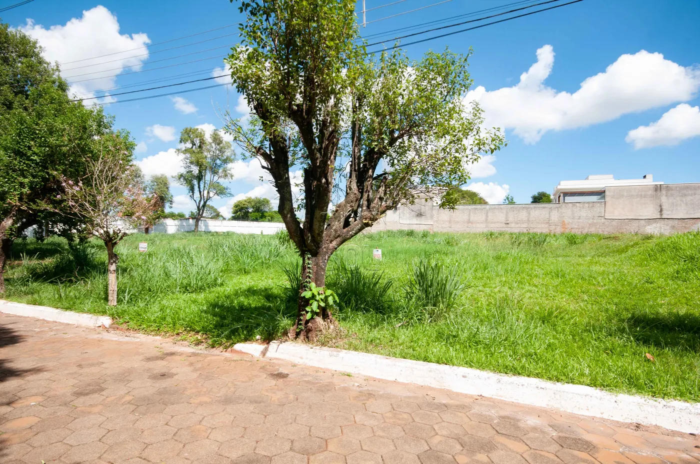 Terreno à venda, Condomínio Lago dos Cisnes - Foz do Iguaçu/PR