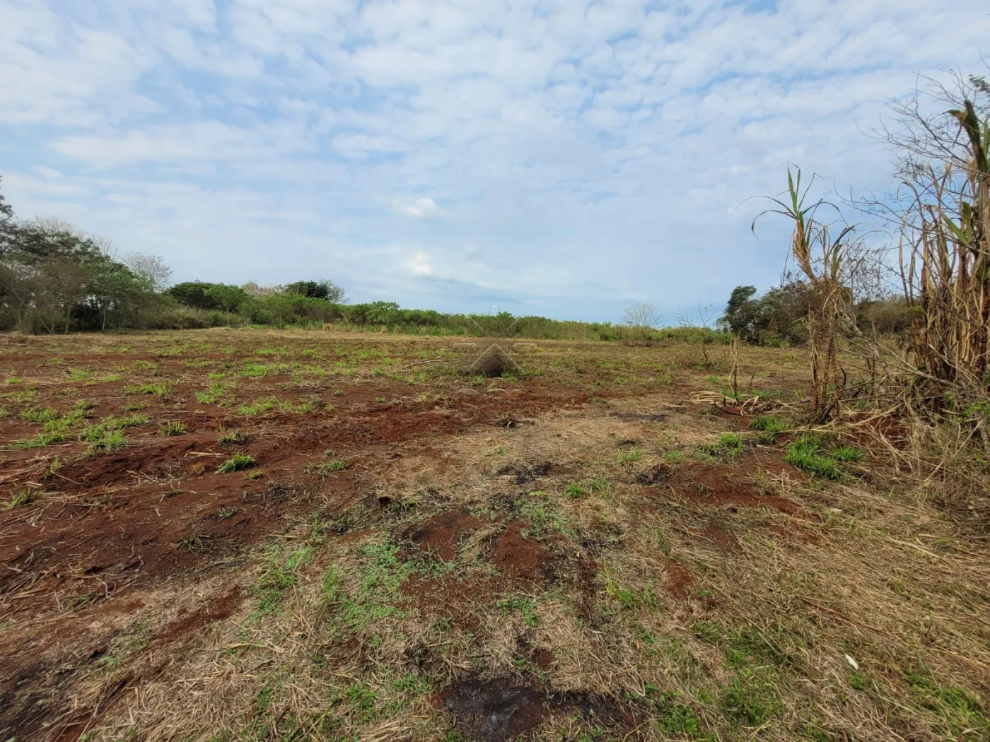 Chácara à venda, Imóvel Foz do Iguaçu parte I - Foz do Iguaçu, PR
