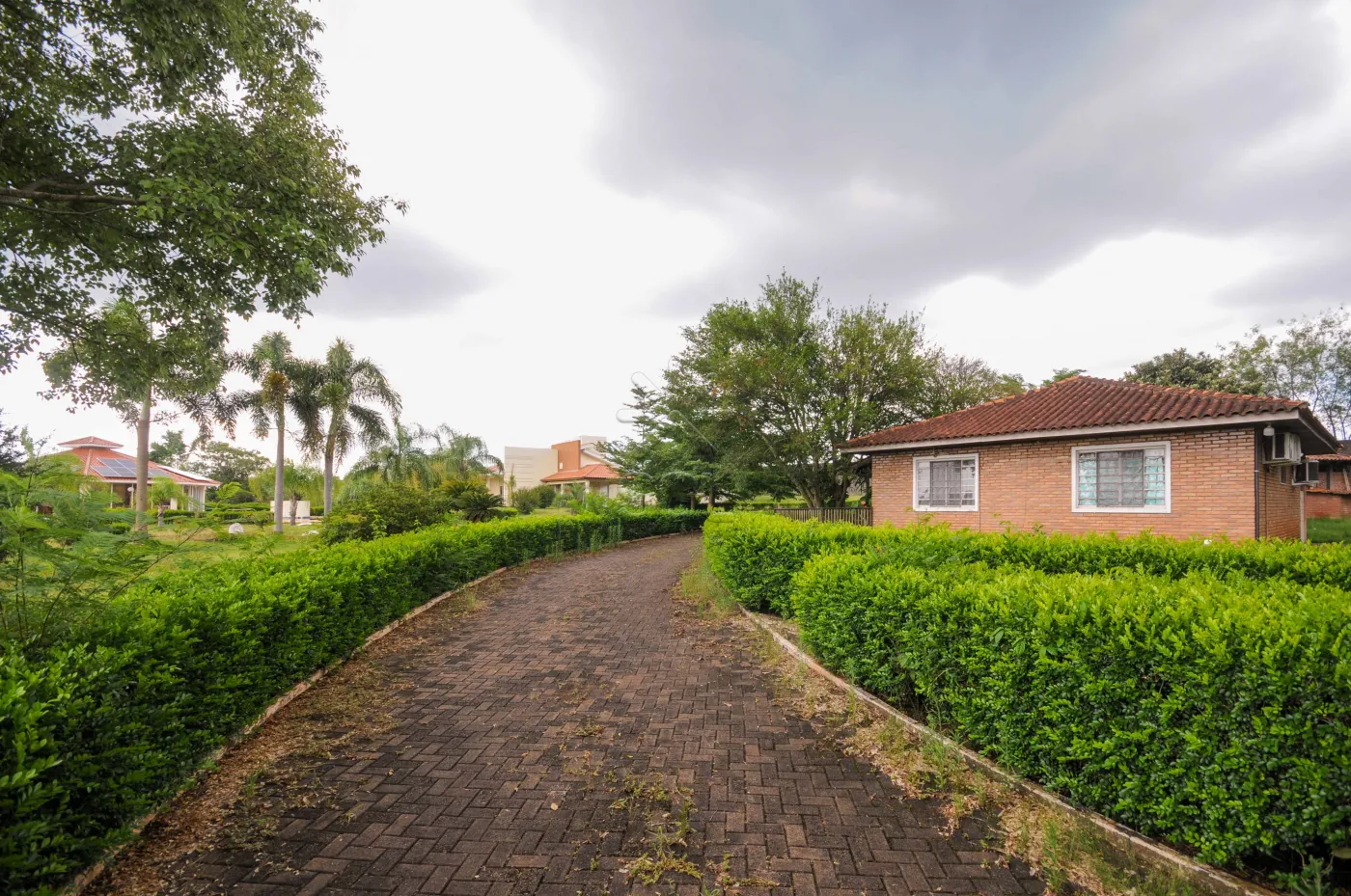 Chácara à venda, Cognópolis - Foz do Iguaçu, PR