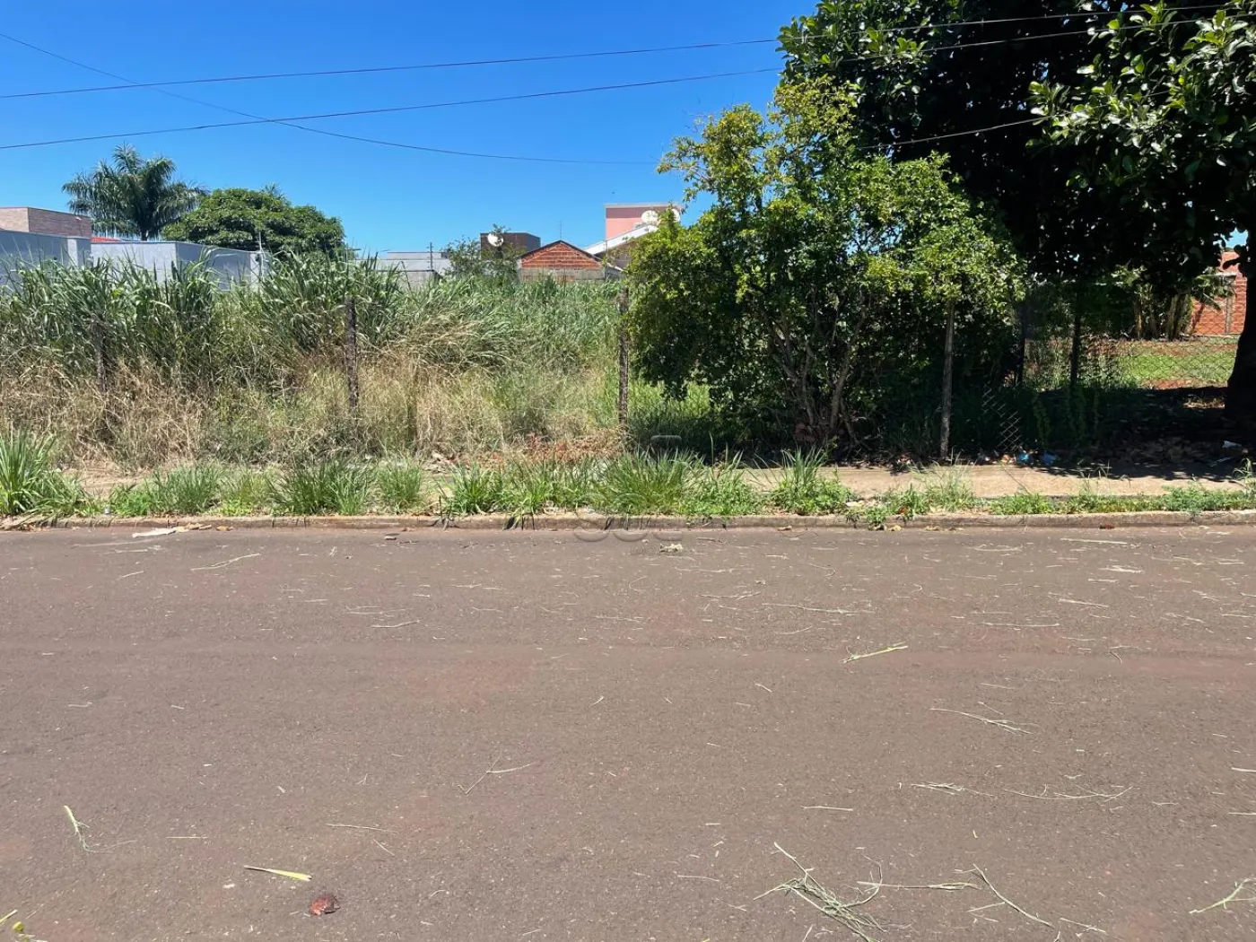 Terreno à venda, Jardim Ana Cristina - Foz do Iguaçu/PR