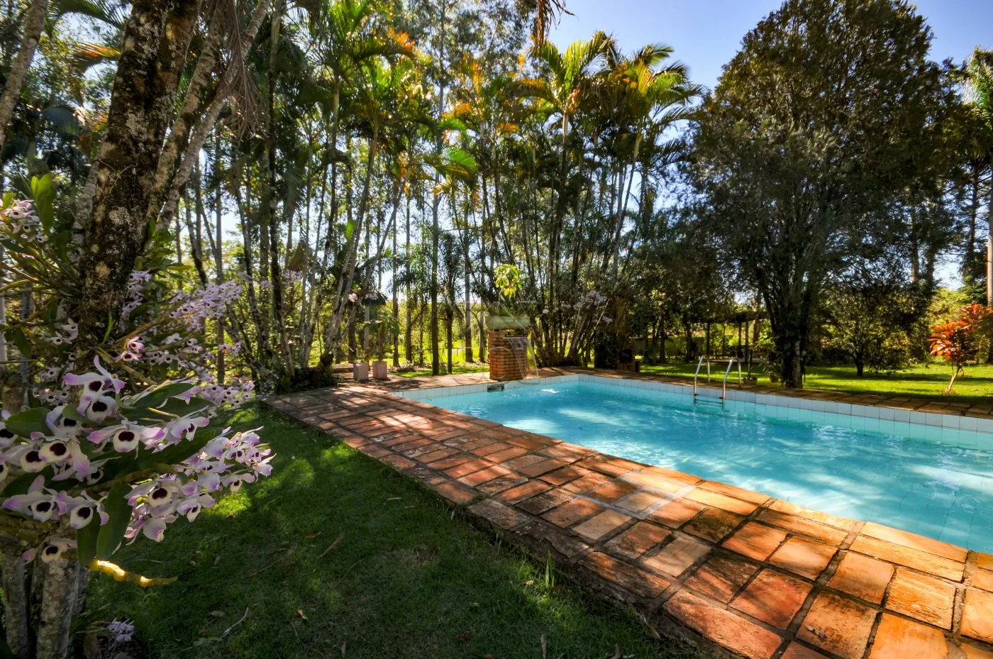 Chácara à venda, Imóvel Cataratas - Foz do Iguaçu, PR