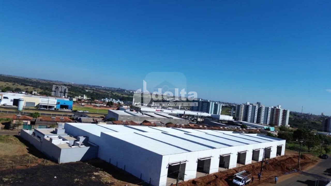 Alugar Galp&atilde;o / Padr&atilde;o em Uberl&acirc;ndia R$ 5.850,00 - Foto 9