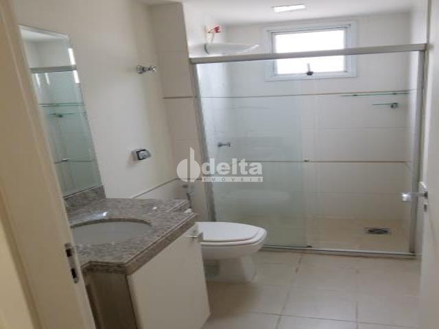 Alugar Apartamento / Padr&atilde;o em Uberl&acirc;ndia R$ 2.700,00 - Foto 16