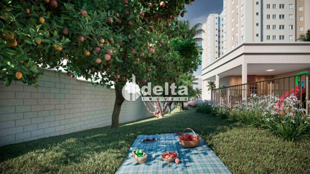Alugar Apartamento / Padr&atilde;o em Uberl&acirc;ndia R$ 1.200,00 - Foto 15