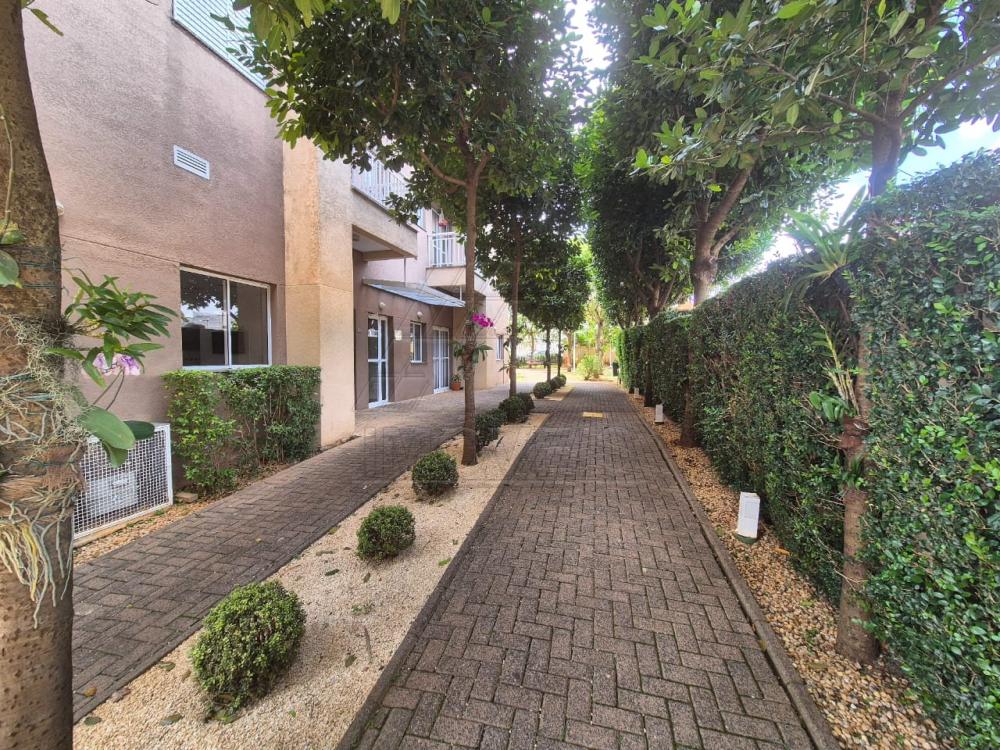 Comprar Apartamento / Residencial em Americana R$ 420.000,00 - Foto 41