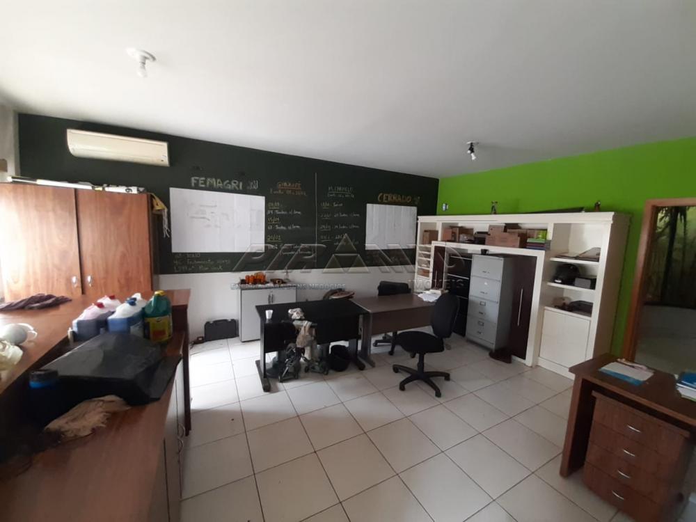 Alugar Comercial / Galp&atilde;o  Barrac&atilde;o em Ribeir&atilde;o Preto R$ 30.000,00 - Foto 23
