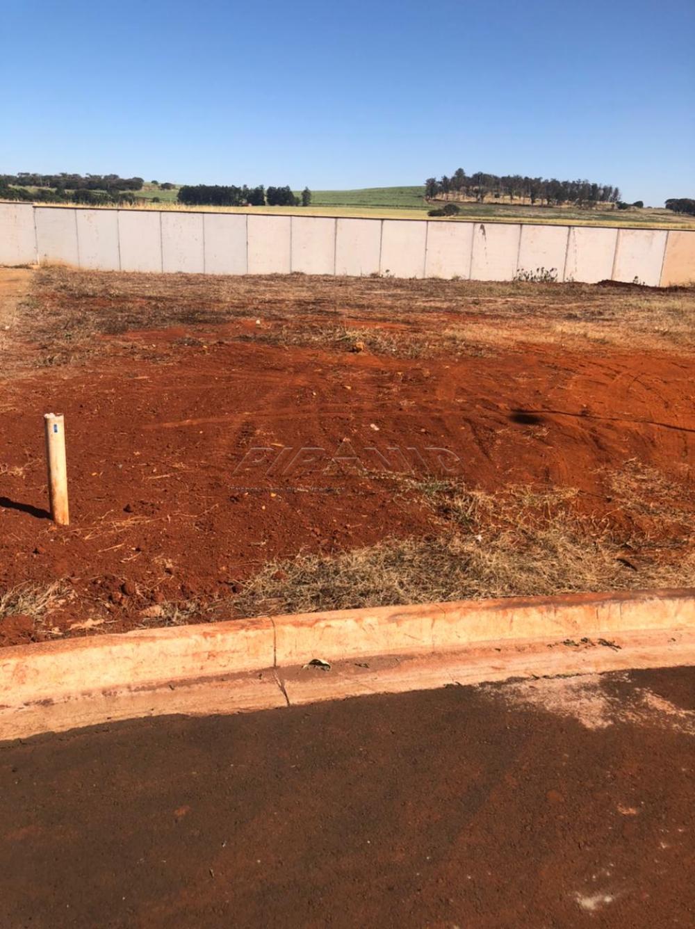 Comprar Terreno / Condom&iacute;nio em Ribeir&atilde;o Preto R$ 420.000,00 - Foto 3