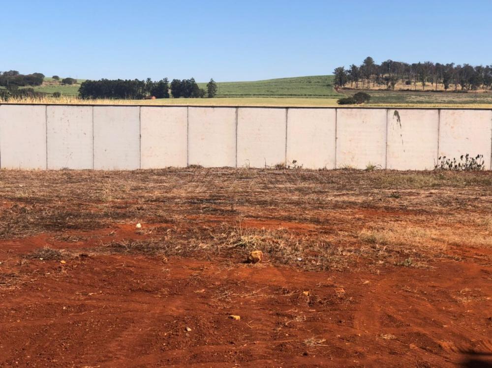Comprar Terreno / Condom&iacute;nio em Ribeir&atilde;o Preto R$ 420.000,00 - Foto 4
