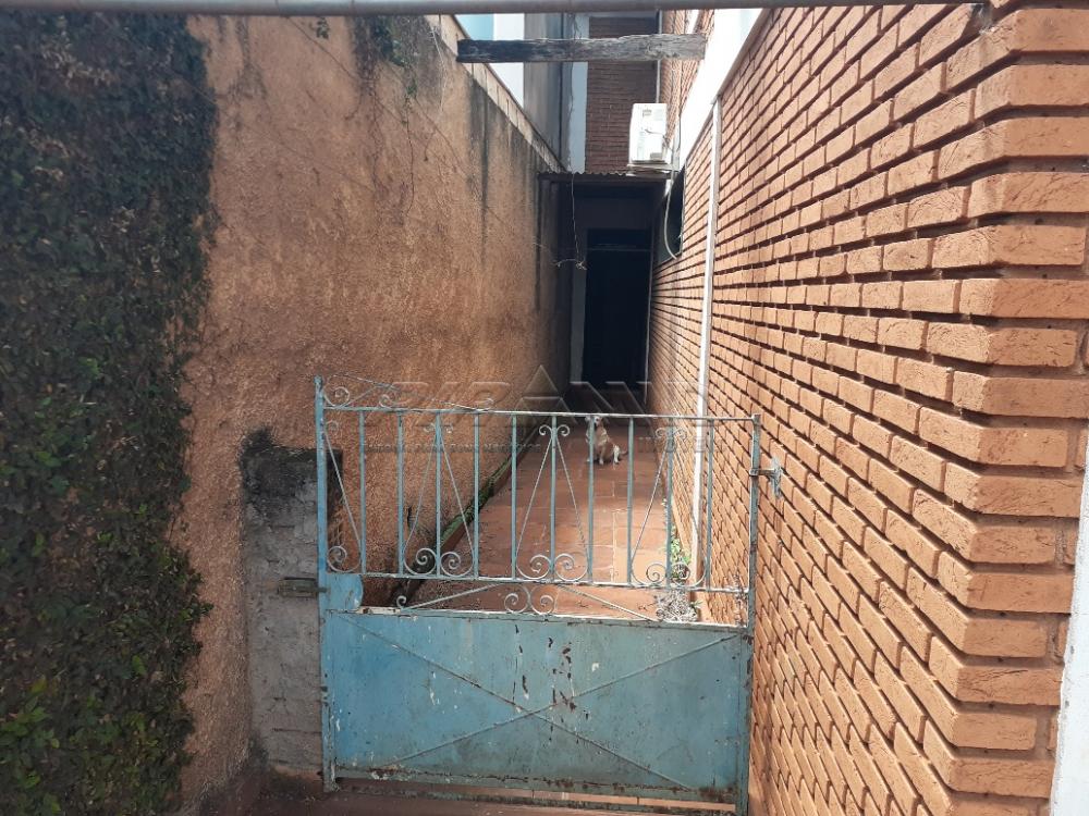 Comprar Casa / Padr&atilde;o em Ribeir&atilde;o Preto R$ 800.000,00 - Foto 17