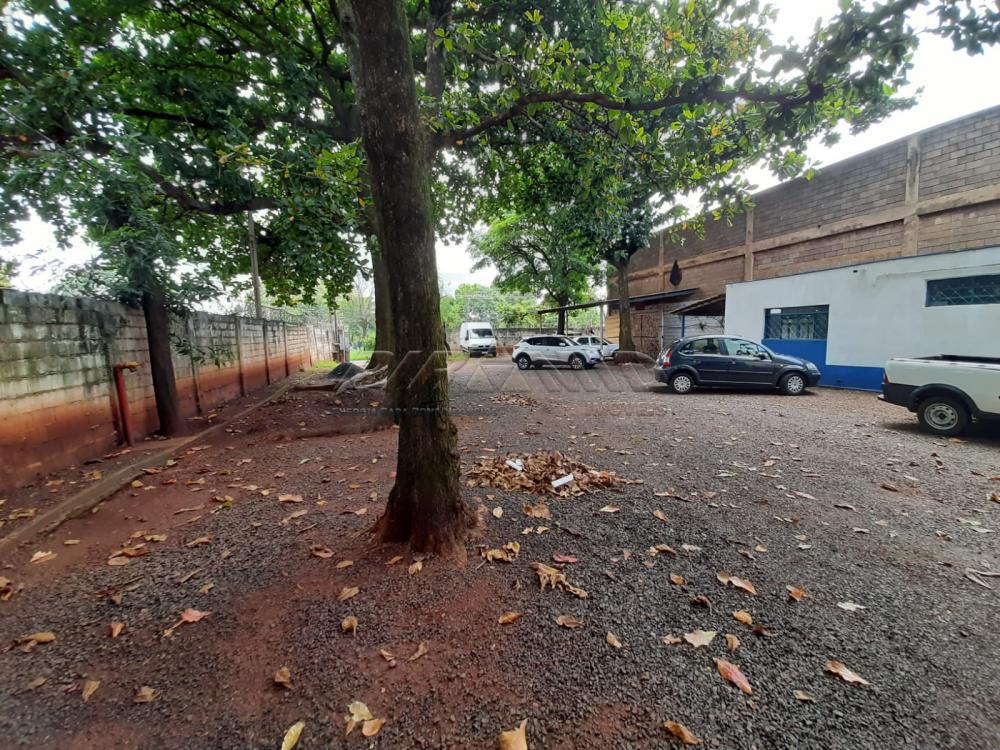 Alugar Comercial / Galp&atilde;o  Barrac&atilde;o em Ribeir&atilde;o Preto R$ 1.700,00 - Foto 2