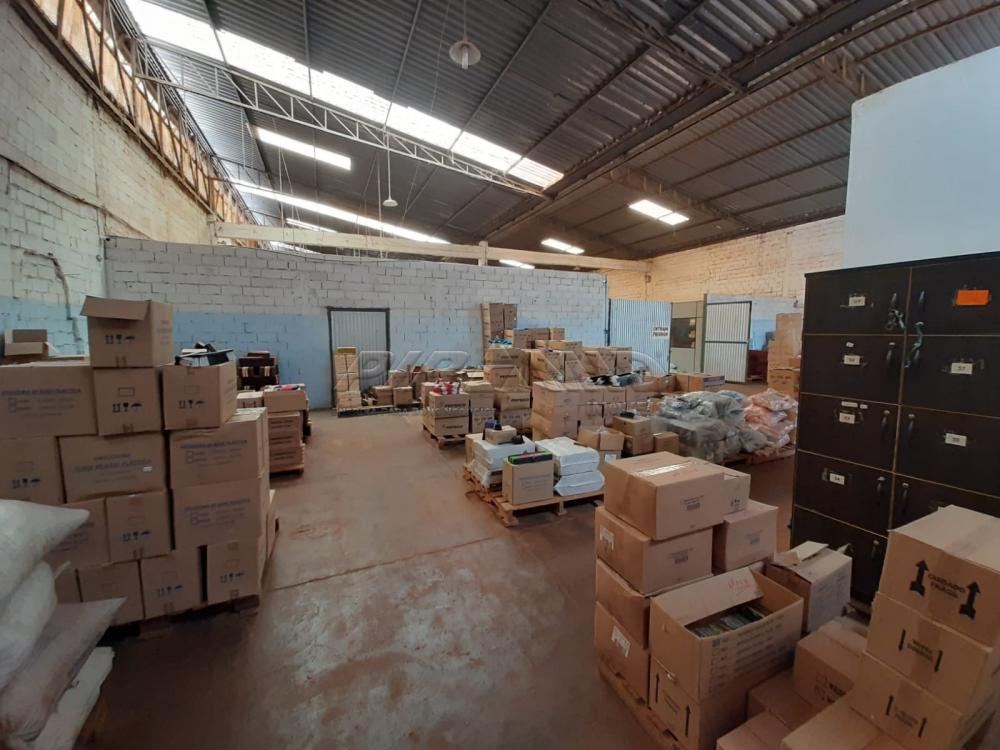 Alugar Comercial / Galp&atilde;o  Barrac&atilde;o em Ribeir&atilde;o Preto R$ 1.700,00 - Foto 11