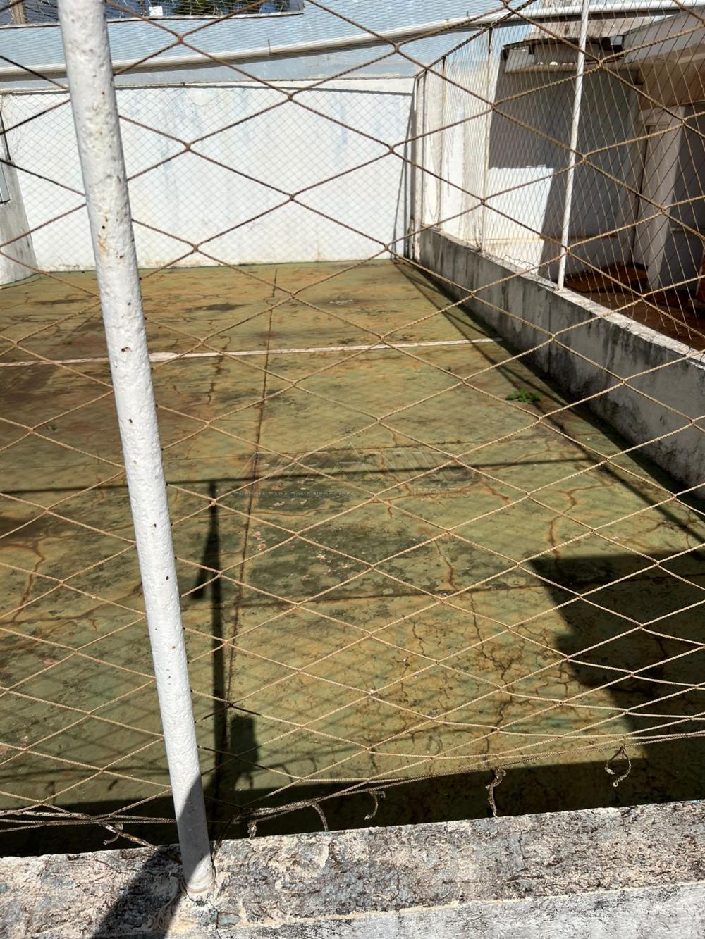 Alugar Casa / Padr&atilde;o em Ribeir&atilde;o Preto R$ 6.500,00 - Foto 33