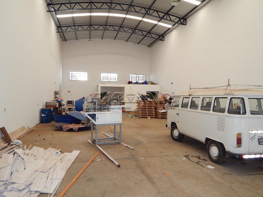 Alugar Comercial / Galp&atilde;o  Barrac&atilde;o em Ribeir&atilde;o Preto R$ 3.000,00 - Foto 7
